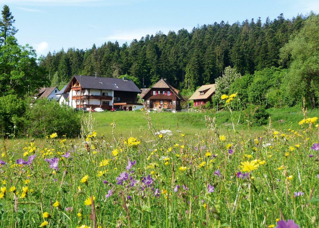 Landhaus Anja Freudenstadt Eksteriør bilde